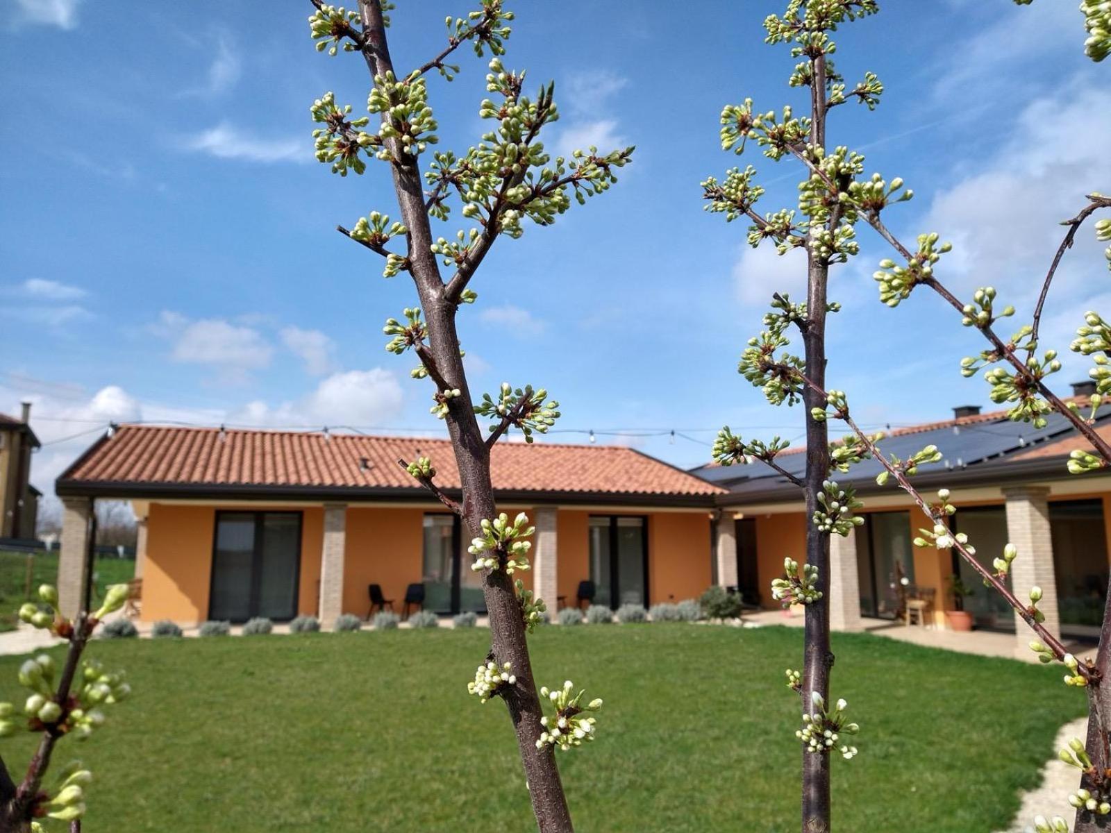פאדובה Agriturismo Verdecielo חדר תמונה